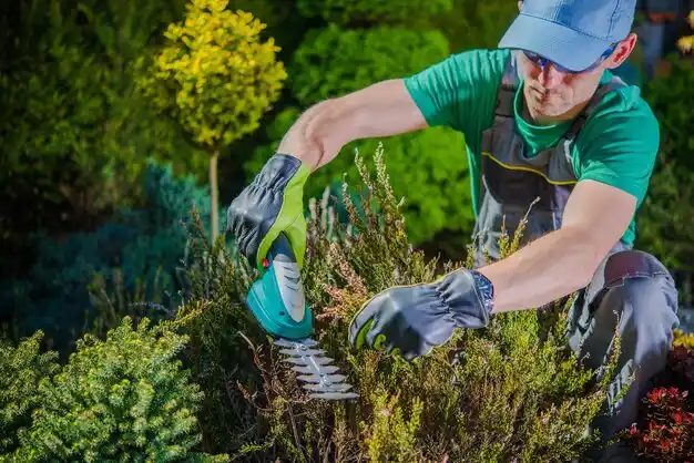 landscaping services McConnelsville